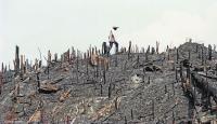 A farmer walks amid land that was burned for agricultural use.