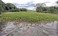 Youth swims on a floodplain of the Amazon frontier in Brazil.