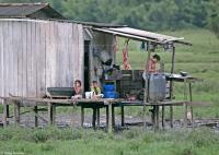 The hardship of daily life in the Amazon Rainforest of Brazil.
