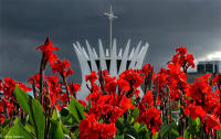 Cathedral of Brasília on a stormy afternoon in the Brazilian capital.