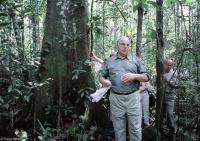 German Chancellor Helmut Kohl sweating out a walk through the Amazon Rainforest.