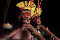 Yawalapiti indians play traditional Uruá flutes at their Amazon village.